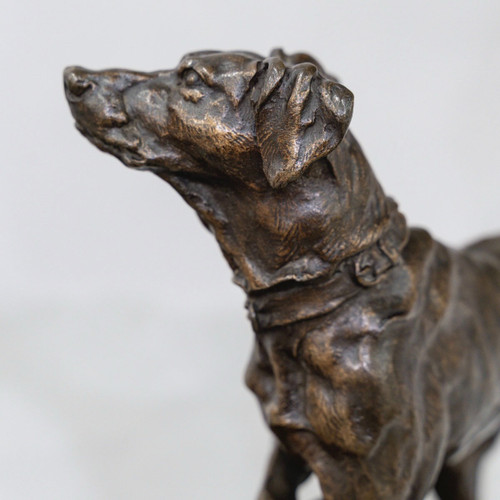 Scultura - Chien Braque Marly , Pierre - Jules Mêne (1810-1879) - Bronzo