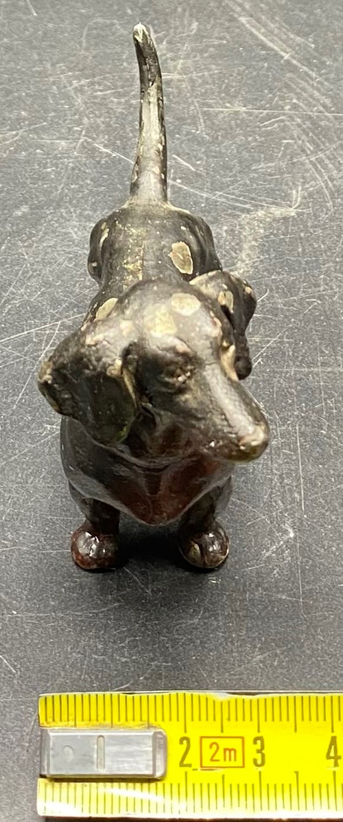 DACHSHUND REGULAR