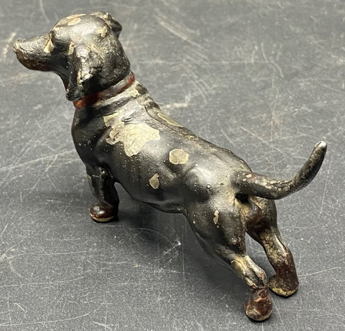DACHSHUND REGULAR