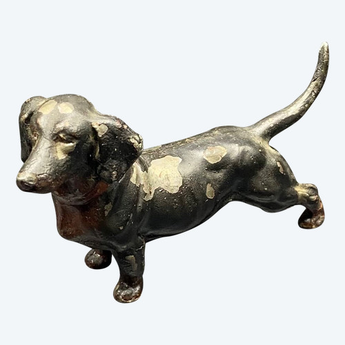 DACHSHUND REGULAR