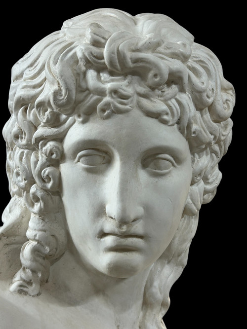 Busto in gesso di Eros di Centocelle o Amore di Prassitele Epoca XX Secolo H 62 Cm