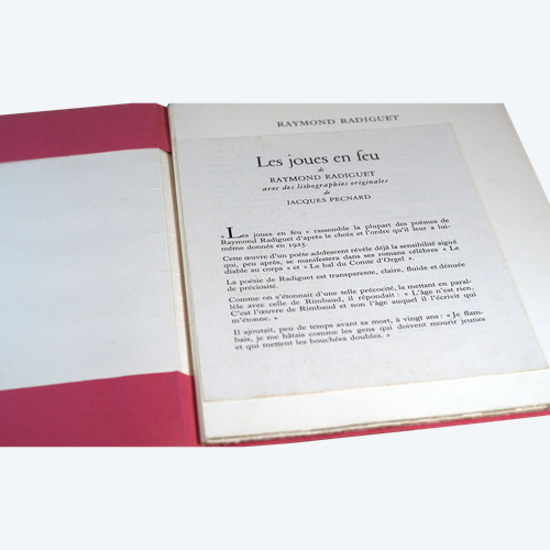 Raymond RADIGUET, " Les Joues En Feu", Curiosa
