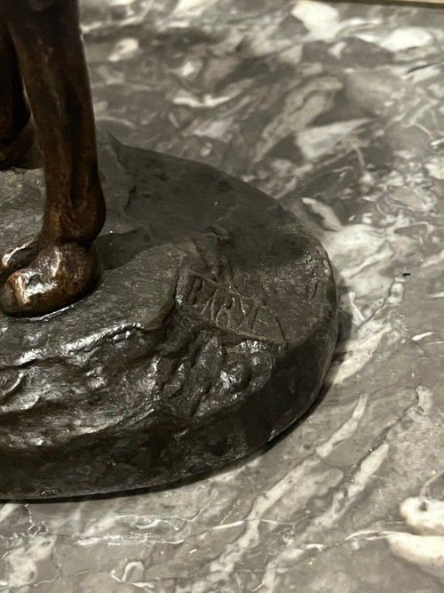 Scultura - Dromedario - Barye - Francia - XIX secolo