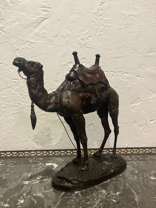 Scultura - Dromedario - Barye - Francia - XIX secolo