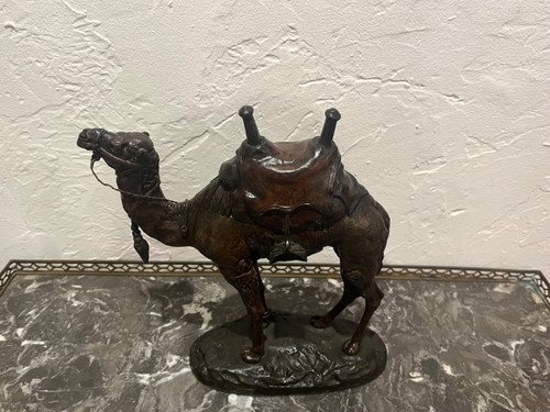 Scultura - Dromedario - Barye - Francia - XIX secolo