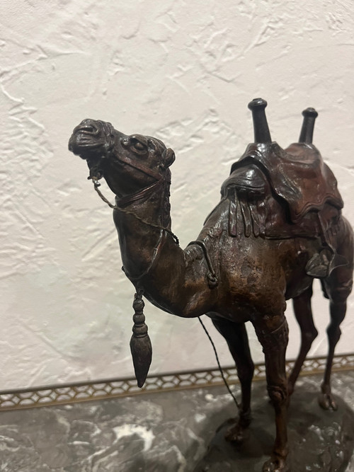 Scultura - Dromedario - Barye - Francia - XIX secolo