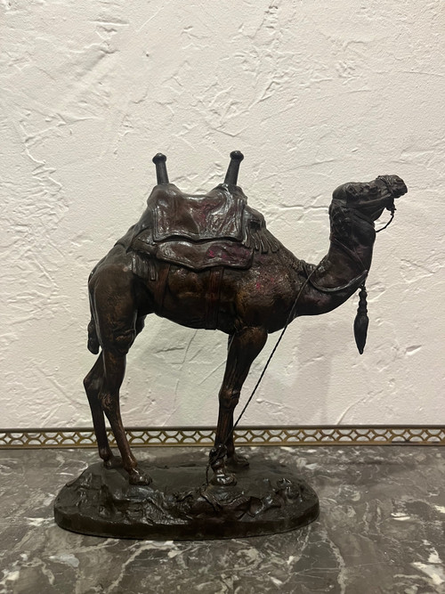 Scultura - Dromedario - Barye - Francia - XIX secolo