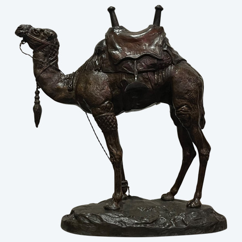Scultura - Dromedario - Barye - Francia - XIX secolo