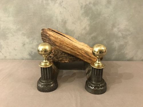 Pair of 19th century cast iron and polished brass andirons