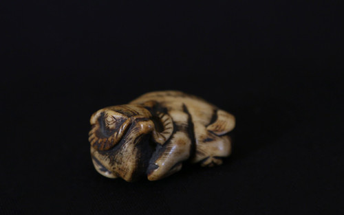 Netsuke Buffalo  Deer horn, 18th  century
