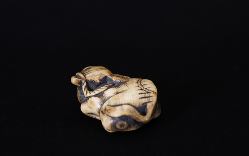 Netsuke Buffalo  Deer horn, 18th  century