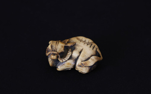 Netsuke Buffalo  Deer horn, 18th  century