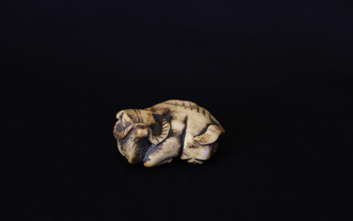 Netsuke Buffalo  Deer horn, 18th  century