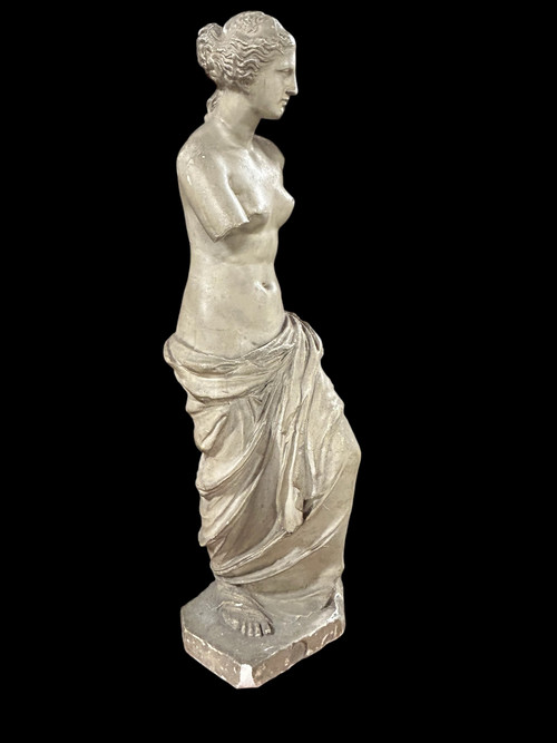 Venere di Milo, grande scultura in gesso del XIX secolo H 86 cm