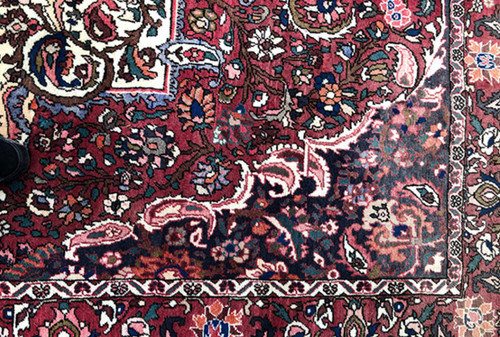 Bakhtiar wool carpet, hand-knotted, with floral design