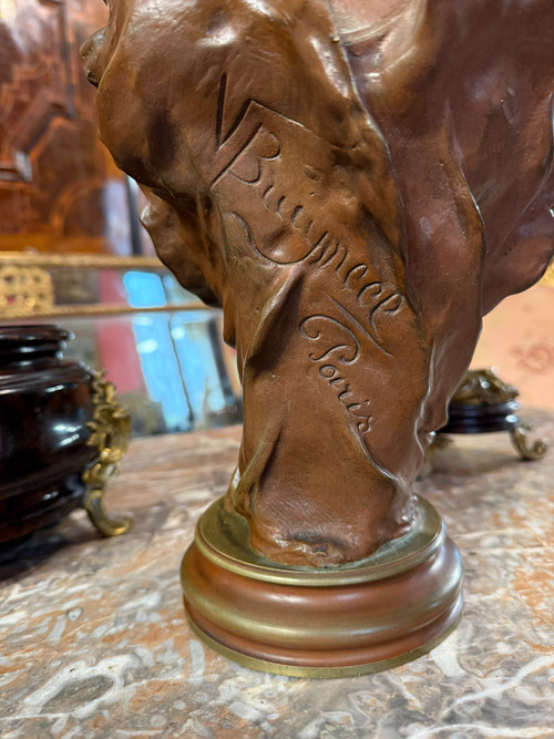 FIREPLACE SET BRONZE V. BRUYNEEL