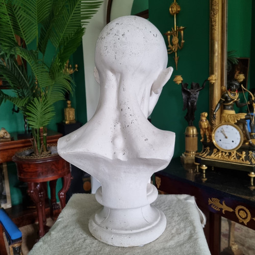 Grande busto in gesso del XIX secolo di un trampoliere.