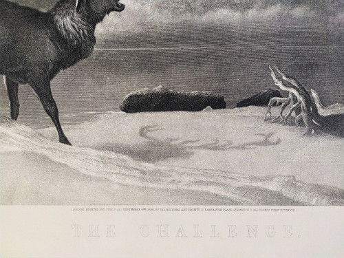 Edwin Landseer Etching Deer Engraving Animals 19th C Old Print