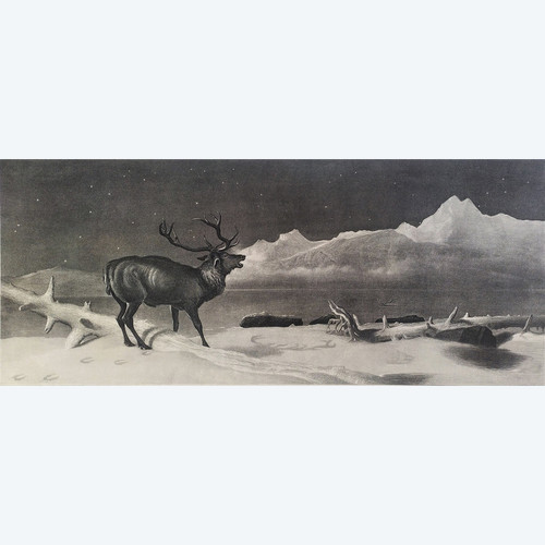 Edwin Landseer Etching Deer Engraving Animals 19th C Old Print