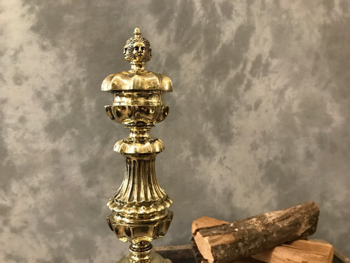 Importants chenets en bronze et fer d'époque 17 ème 