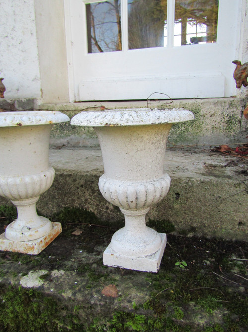 Medici vases