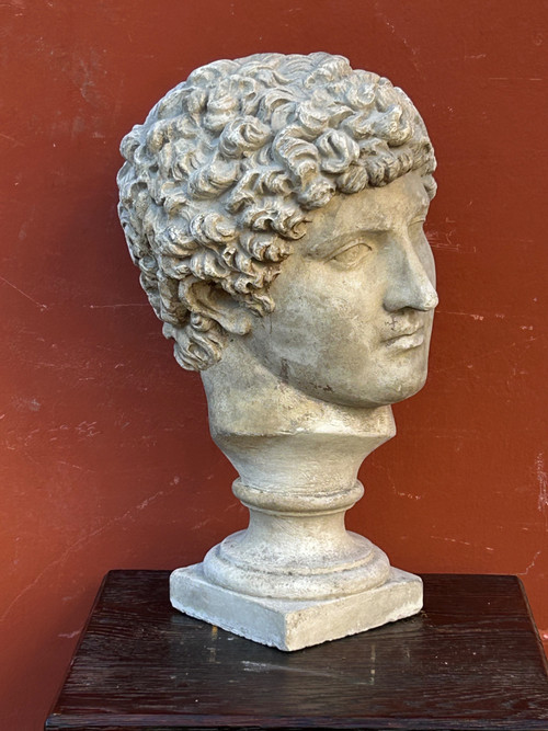 Buste Antinus - Grand Tour - Calco in gesso Fine XIX secolo - Antico - Romano