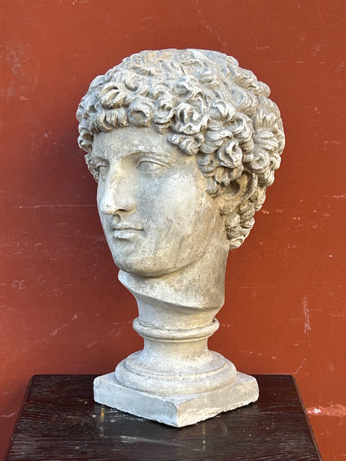 Buste Antinus - Grand Tour - Calco in gesso Fine XIX secolo - Antico - Romano