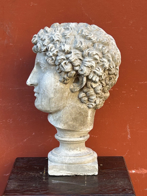 Buste Antinus - Grand Tour - Calco in gesso Fine XIX secolo - Antico - Romano