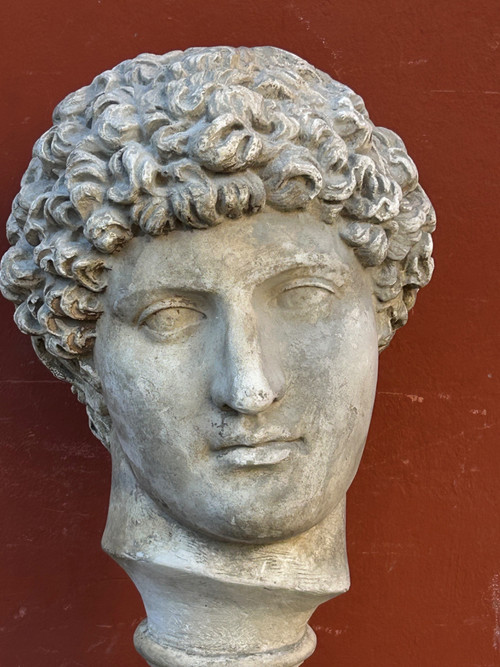 Buste Antinus - Grand Tour - Calco in gesso Fine XIX secolo - Antico - Romano