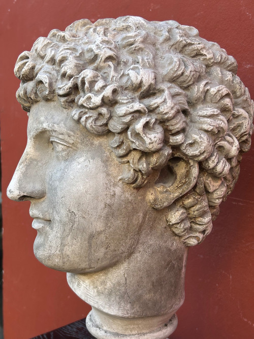 Buste Antinus - Grand Tour - Calco in gesso Fine XIX secolo - Antico - Romano