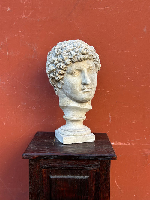 Buste Antinus - Grand Tour - Calco in gesso Fine XIX secolo - Antico - Romano