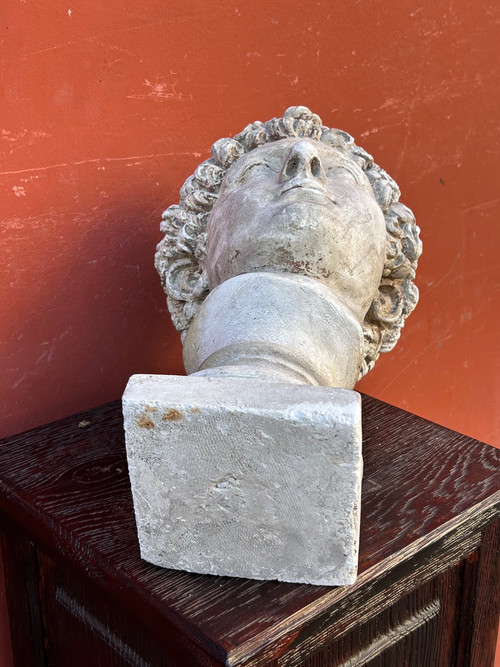 Buste Antinus - Grand Tour - Calco in gesso Fine XIX secolo - Antico - Romano