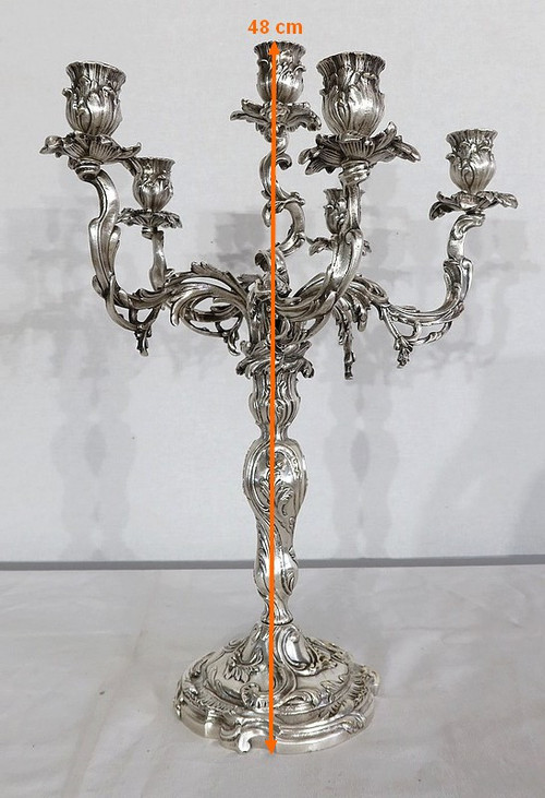 Paire de Candélabres en Bronze Argenté, style Louis XV – XIXe