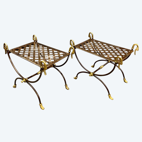 Magnifique Paire de tabourets curule en acier 