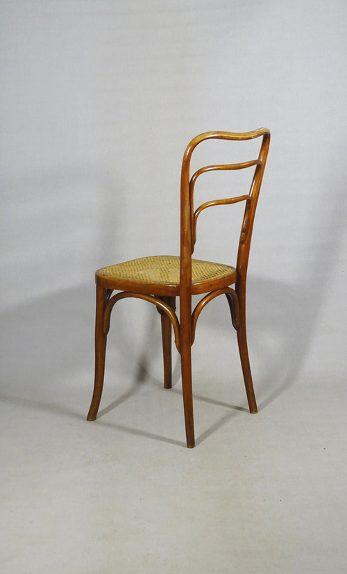 Bistro chair by KOHN N°248 a ,cane- Ca 1905- no Thonet