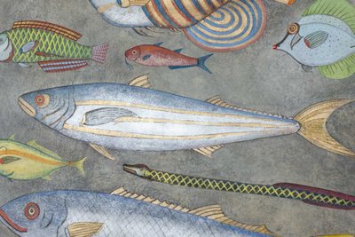 Toile peinte représentant une planche de poissons. Travail contemporain. LS6026911A