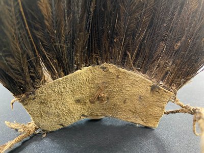 Asmat Sepik cassowary feather headdress Papua New Guinea