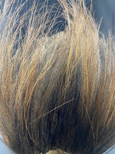 Asmat Sepik cassowary feather headdress Papua New Guinea