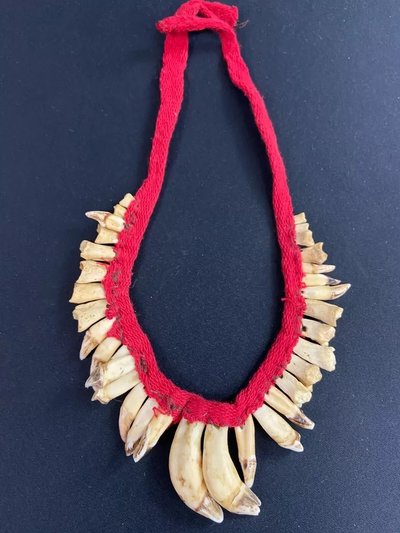 Brustschmuck mit Zahndekor Halskette Asmat Sepik Papua Neuguinea