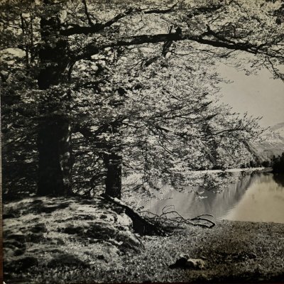 Foto su pannello di legno paesaggio montano