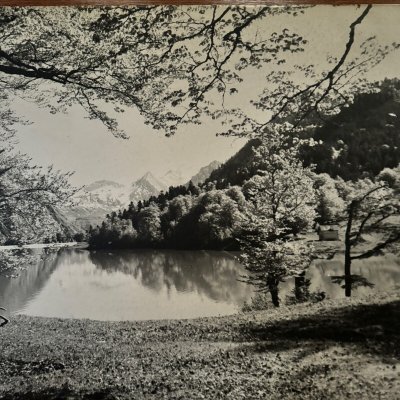 Foto su pannello di legno paesaggio montano