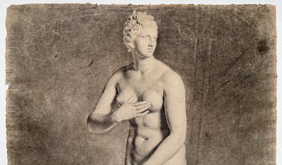 Venus von Medici - akademische Kohlezeichnung