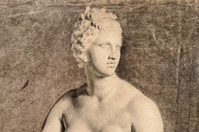 Venus von Medici - akademische Kohlezeichnung