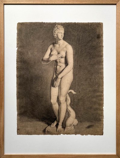 Venus von Medici - akademische Kohlezeichnung