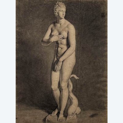 Venus von Medici - akademische Kohlezeichnung