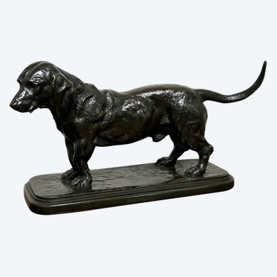 Antoine-Louis Barye (1795-1865) Basset mit dem Kopf nach links stehend Barbedian Gusseisen XIX 