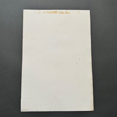 Wash Drawings Imperial School of Arts and Crafts of Angers by Lehuedé