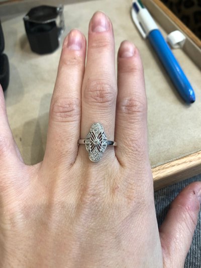 Anello della navetta