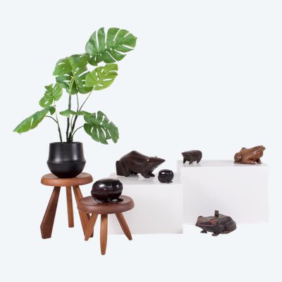 Collection de Boîtes Rituelles Grenouilles et Crapauds