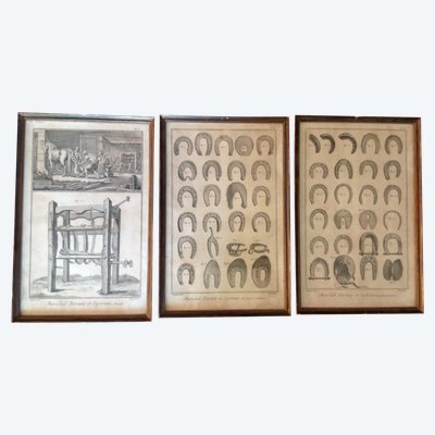 Set of three 18th century engravings.